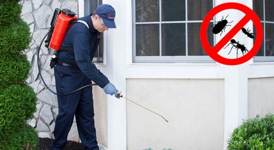 Hamamözü Bit İlaçlama böcek ilaçlama ve haşere kontrolü — ilaclama-tr.com